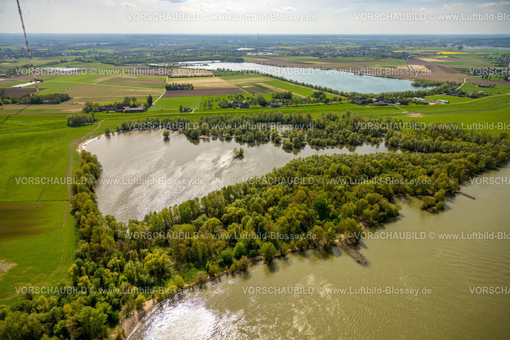 Wesel240402129RheinvorlandPerrich | Luftbild, Rheinvorland Perrich mit See und bewaldetem Uferbereich am Fluss Rhein, Hülskens Kieswerk Baggersee, Perrich, Wesel, Niederrhein, Nordrhein-Westfalen, Deutschland