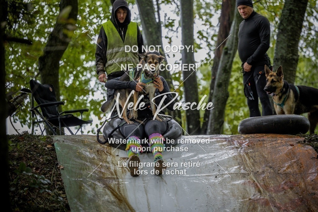 nelerasche_Hunsrück_Sa1430-1500_275-final | nelerasche