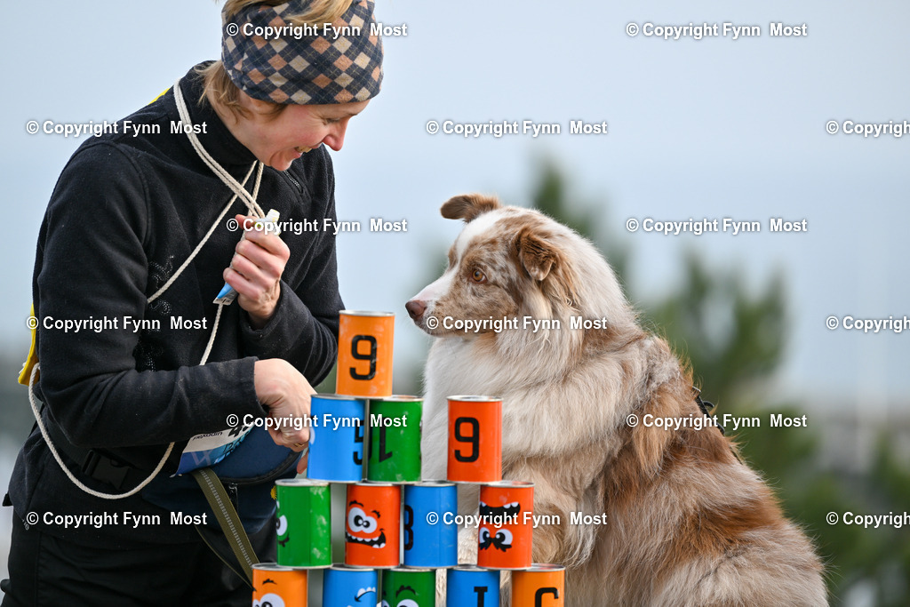 DSC_5096 | Hallo und herzlich Willkommen auf meiner Shop-Seite Fynn Most.

Ich wünsche Dir viel Spaß beim stöbern durch die Bilder, wenn Du Fragen hast oder Bilder vermisst, kannst du mir gerne eine Nachricht schreiben. - Realisiert mit Pictrs.com