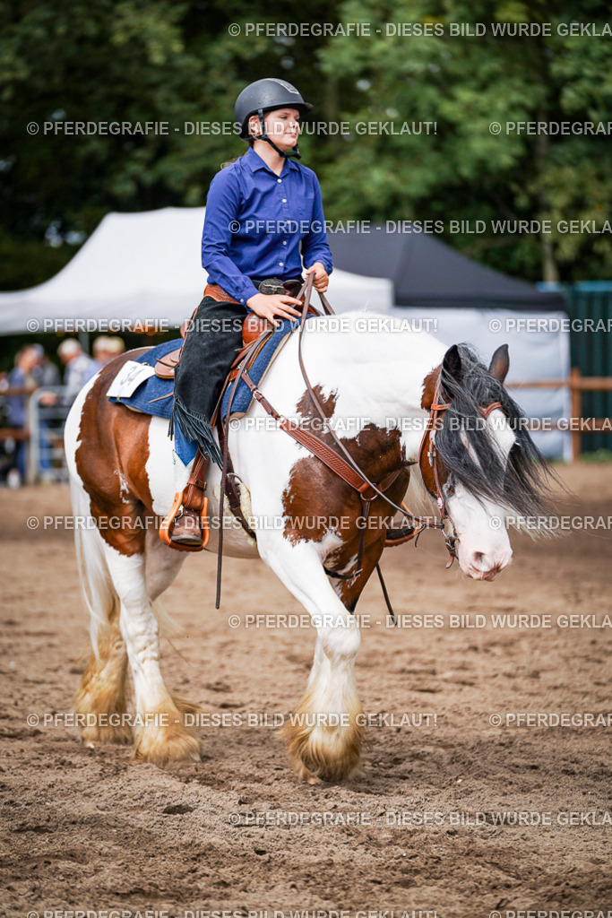 DSC07749 | Pferdegrafie