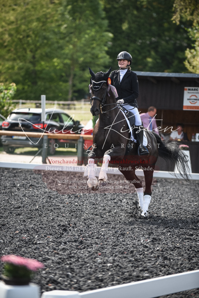 DSC_5187 | Pferde- und Turnierfotografie in Westsachsen. Pferdeportraits, Auftragszeichnungen und intuitive Kunst.