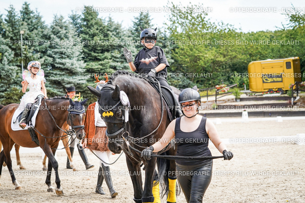 DSC03253 | Pferdegrafie