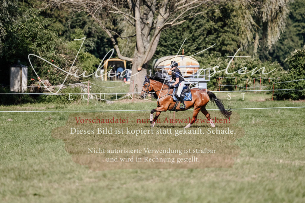 DSC_3376 | Pferde- und Turnierfotografie in Westsachsen. Pferdeportraits, Auftragszeichnungen und intuitive Kunst.