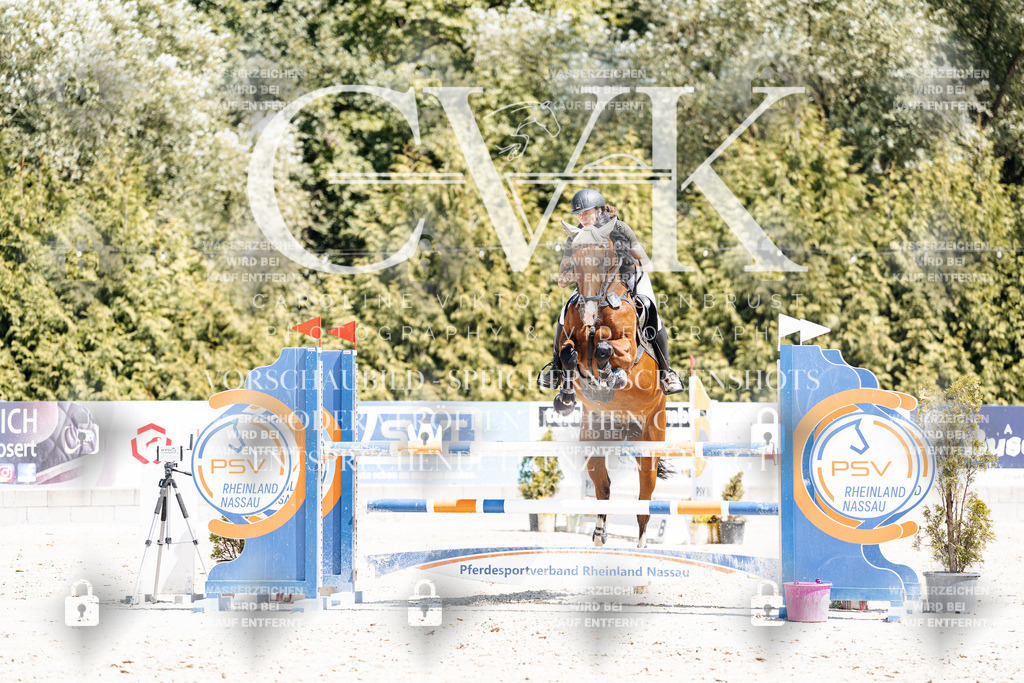 CK900318 | Turnierfotografie Pferdefotografie Trier Rheinland-Pfalz Pferdesport Reitsport Tierfotografie Sportfotografie Pferdevideo Pferdevideografie Equestrianvideography equestrianphotography  - Realisiert mit Pictrs.com