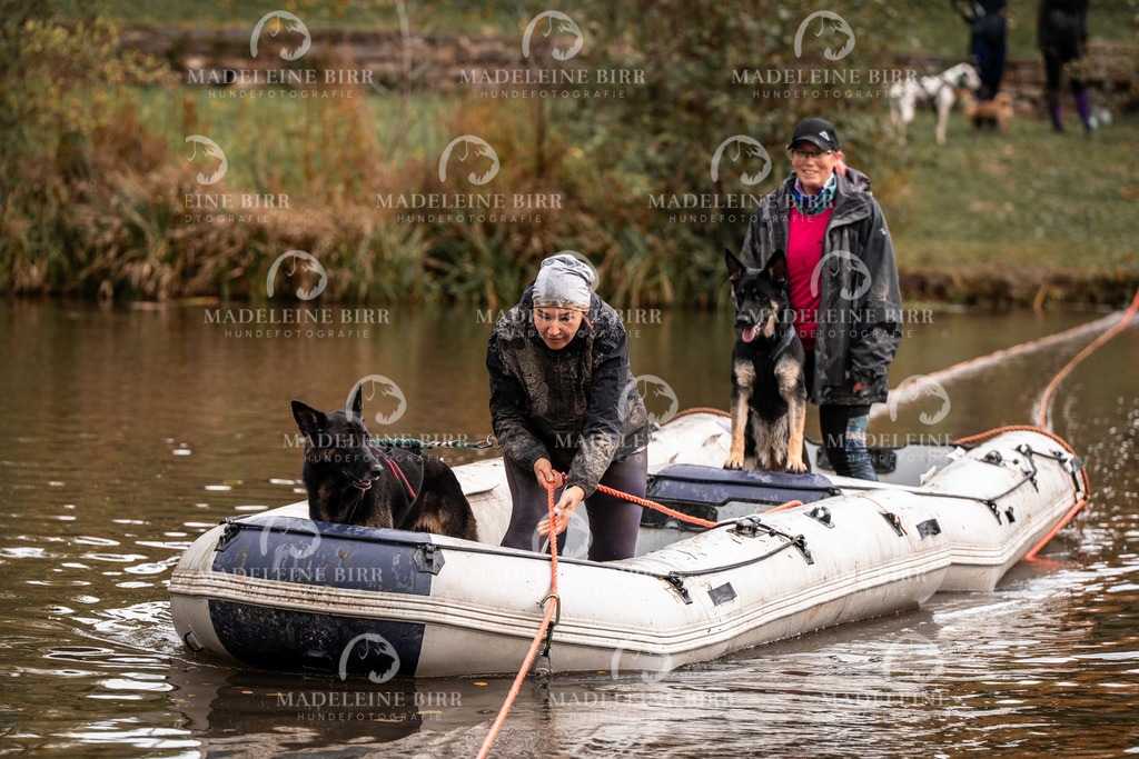 madeleinebirr-fotografie2025.campcanis.9-10Uhr-66 | hundefotografie-birr