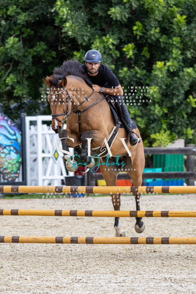 IMG_2825 | s-jay-photography - Realisiert mit Pictrs.com