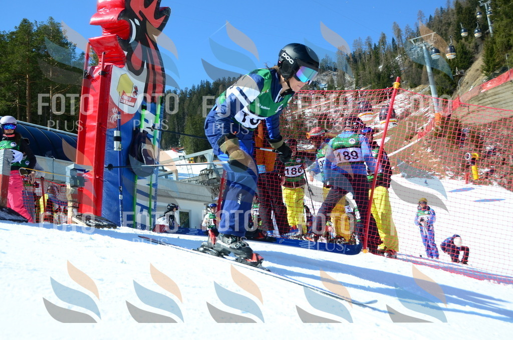 C6224 | holidayphoto