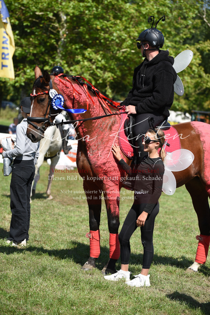 DSC_0460 | Pferde- und Turnierfotografie in Westsachsen. Pferdeportraits, Auftragszeichnungen und intuitive Kunst.