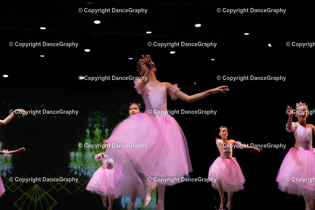 GPHY6745 | DanceGraphy - Realisiert mit Pictrs.com