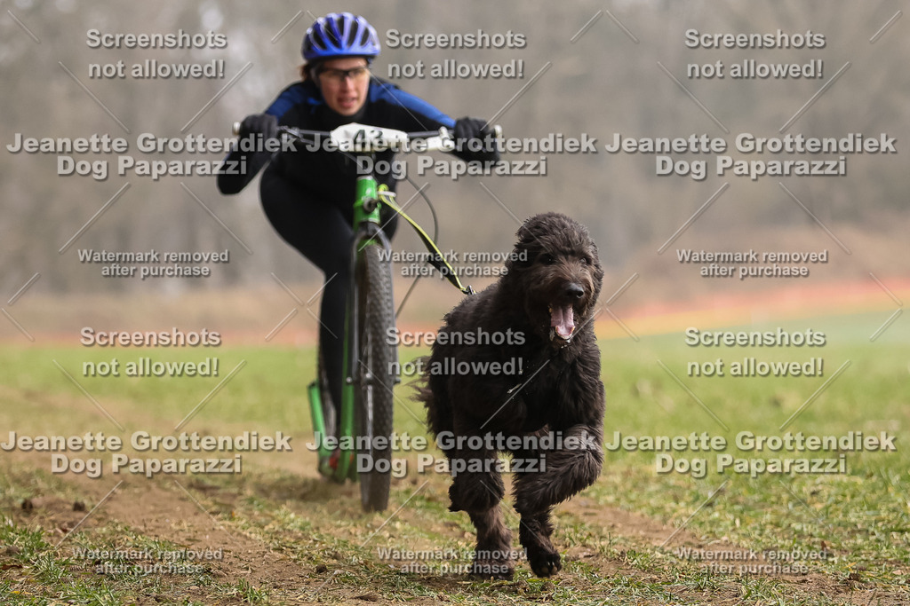 Dog Paparazzi - Plate 2026-138 | Dog Paparazzi Jeanette Grottendiek Fotografie & Videografie - Realisiert mit Pictrs.com