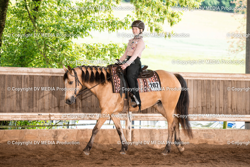 Erbach Tag 1-237 | dv-media-shop - Realisiert mit Pictrs.com