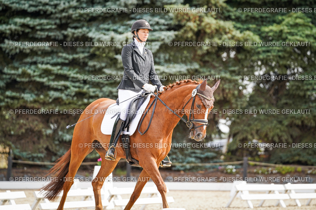 DSC08286 | Pferdegrafie