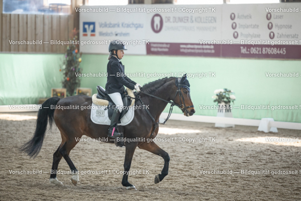 _D5A9050 | Emotionale Pferde- & People-Fotografie rund um Heidelberg, Leimen & Umgebung. Natürliche Fotos von Pferd, Mensch & Familie. Jetzt Termin sichern!