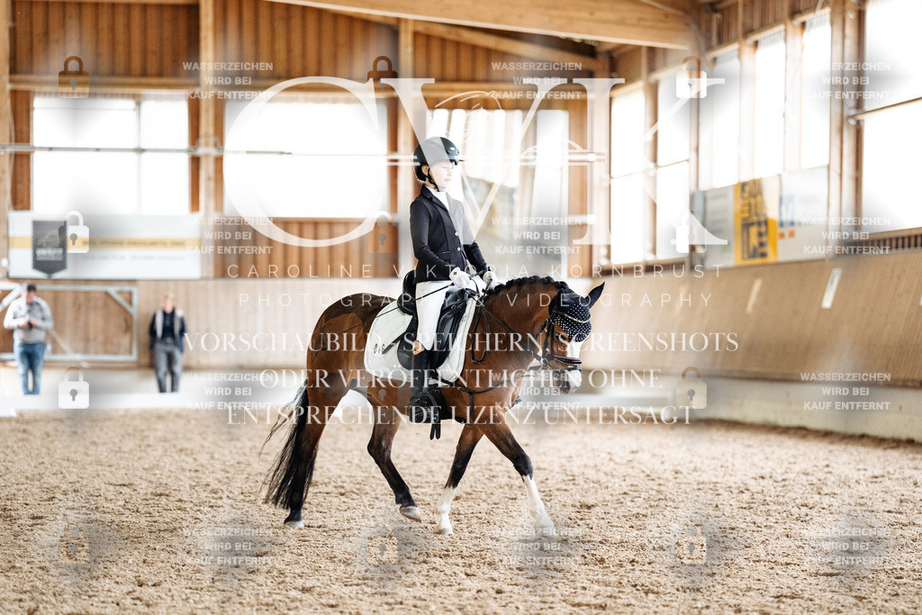 CK901384 | Turnierfotografie Pferdefotografie Trier Rheinland-Pfalz Pferdesport Reitsport Tierfotografie Sportfotografie Pferdevideo Pferdevideografie Equestrianvideography equestrianphotography  - Realisiert mit Pictrs.com