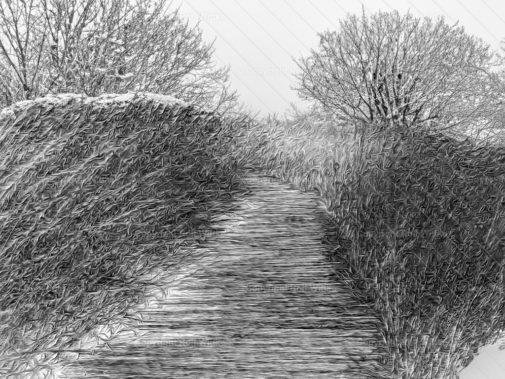 hohes venn5-2 | Rolf Wittke  - Realisiert mit Pictrs.com