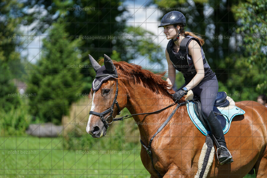 20240622-FAH06769 | Turnierfotografen Bayern, Reitsportbilder aus dem Geländekurs mit Felix Etzel auf dem Gut Waitzacker 2024