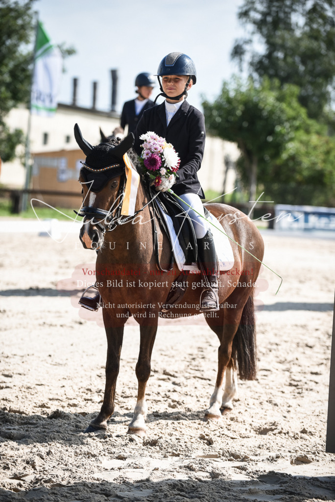 DSC_8737 | Pferde- und Turnierfotografie in Westsachsen. Pferdeportraits, Auftragszeichnungen und intuitive Kunst.