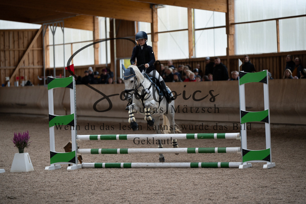 A7V02958 | Turnier/Reitfotograf