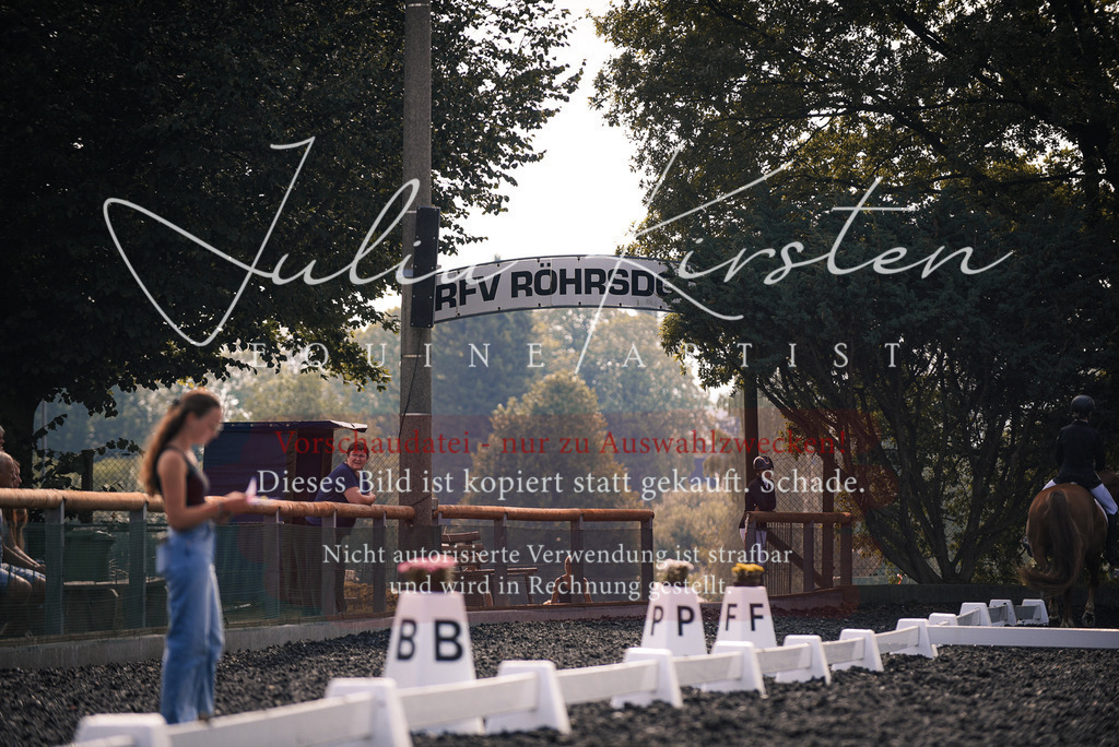 DSC_3549 | Pferde- und Turnierfotografie in Westsachsen. Pferdeportraits, Auftragszeichnungen und intuitive Kunst.