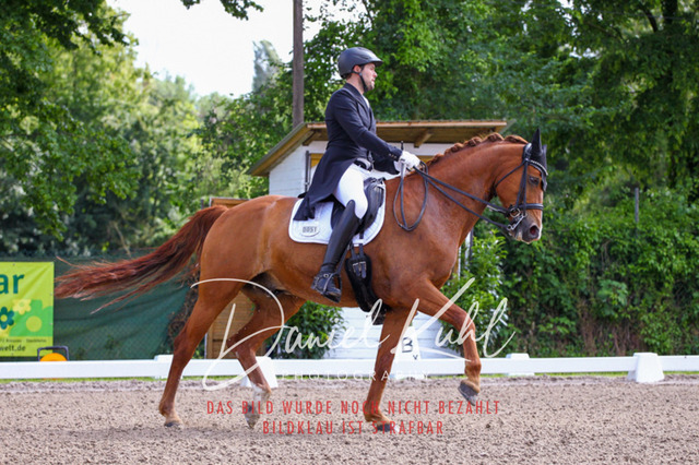 DKP41279 | Turnierfotos kaufen im Webshop von Daniel Kuhl Photography – entdecke professionelle Reitsportfotos aus Turnieren & Events. Hochwertige Turnierbilder online bestellen & sichern. Jetzt Fotos von Reitsportturnieren kaufen!