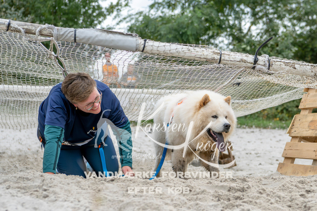 1537_ZZ95934 | kk-dogfotos