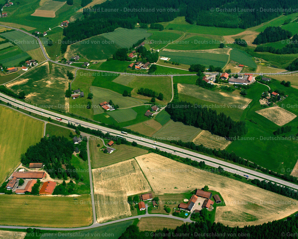 2519825 | Waidholz, Bogen