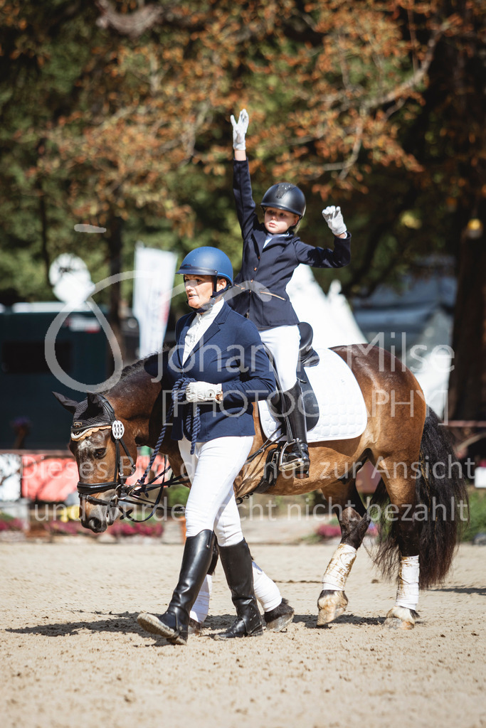 240915_OWLCh_FuehrzuegelWB-707 | Deine schönsten Turniermomente als professionelle Fotos! Entdecke hochwertige Pferdesport-Fotografie im Online-Shop. Jetzt Fotos finden & bestellen!