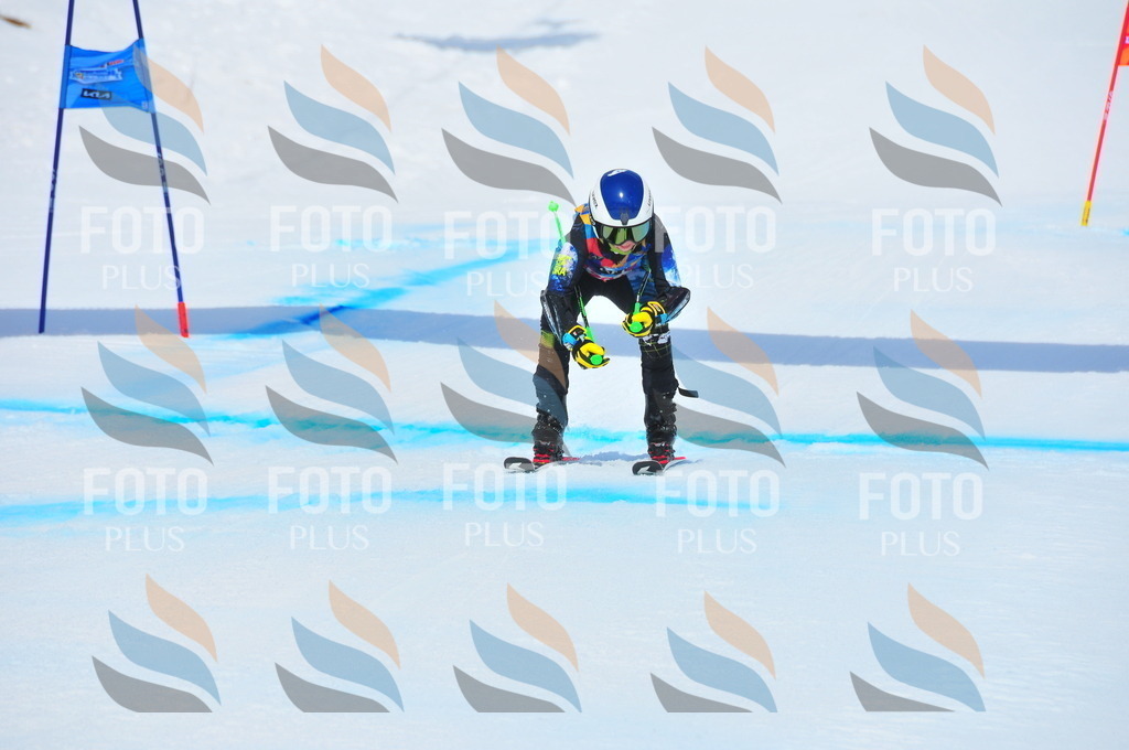 DSC_5880 | holidayphoto