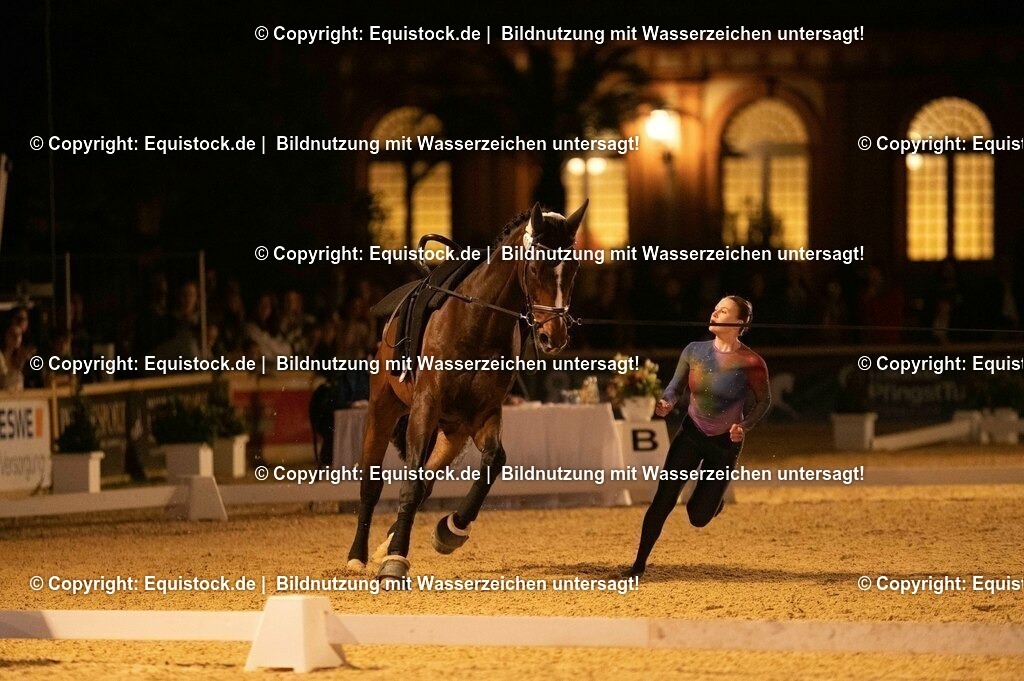 20230527_Voltigieren_NASPA_Flutlicht_1092 | equistock