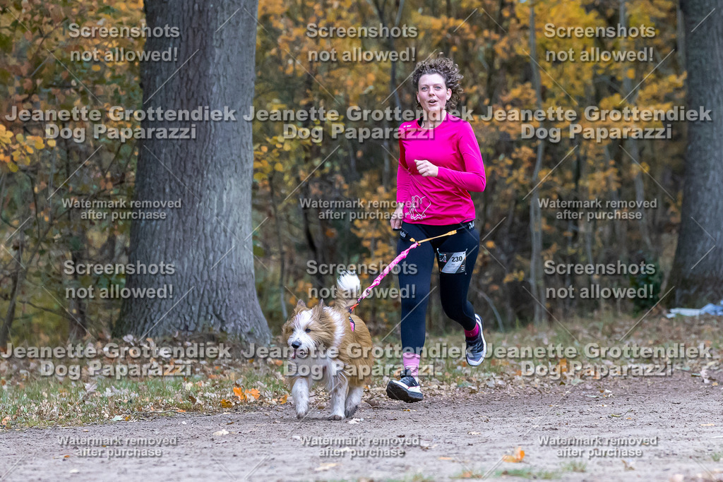 Dog Paparazzi - SD CaniX Championship 2025-502 | Dog Paparazzi Jeanette Grottendiek Fotografie & Videografie - Realisiert mit Pictrs.com