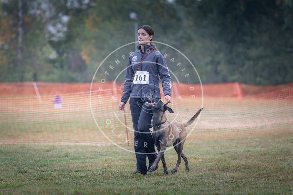 Pfotenfotografie_DV3A8789 | Hundefotografie, Tierfotograf, Pfotenfotografie, Fotoshooting Hund, Hunde Portrait, Hundesport, Hundeportraits, Heideshooting, Hunde, Sportfotograf, Hundefotograf, Turnierhundsport, THS,  - Realisiert mit Pictrs.com
