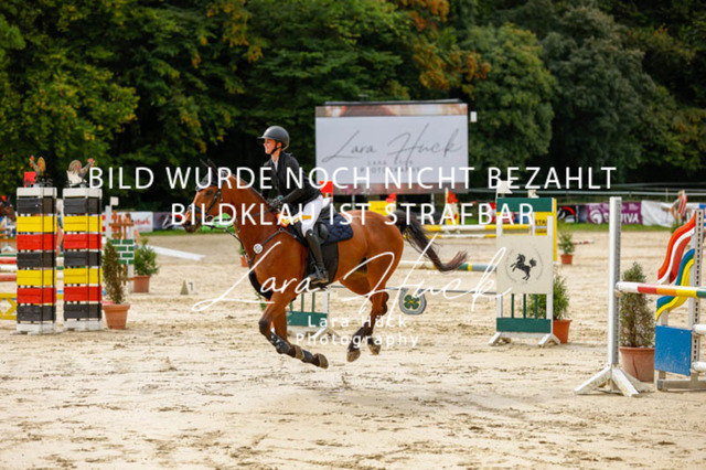 _62_9218 | larahueckfotografie