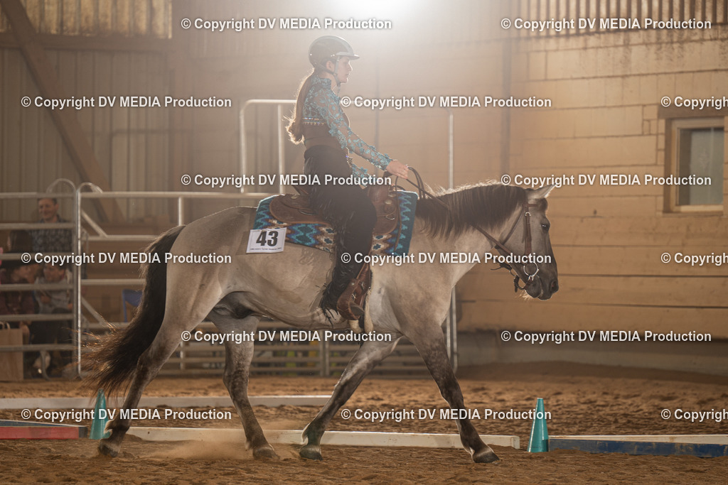 NID02547 | dv-media-shop - Realisiert mit Pictrs.com