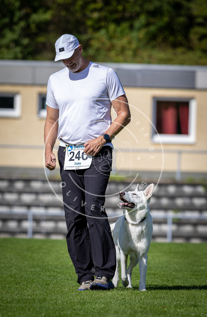 Pfotenfotografie_DV3A4944 | Hundefotografie, Tierfotograf, Pfotenfotografie, Fotoshooting Hund, Hunde Portrait, Hundesport, Hundeportraits, Heideshooting, Hunde, Sportfotograf, Hundefotograf, Turnierhundsport, THS,  - Realisiert mit Pictrs.com