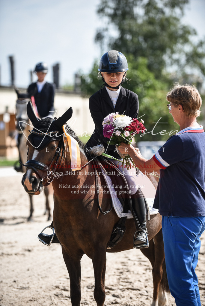 DSC_8734 | Pferde- und Turnierfotografie in Westsachsen. Pferdeportraits, Auftragszeichnungen und intuitive Kunst.
