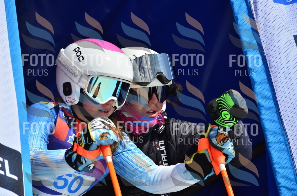 _ELE0133 | holidayphoto