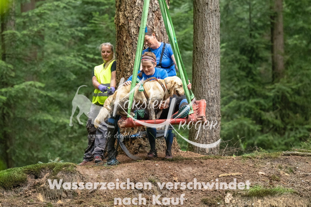 1143_ZZ90282-Bearbeitet | kk-dogfotos