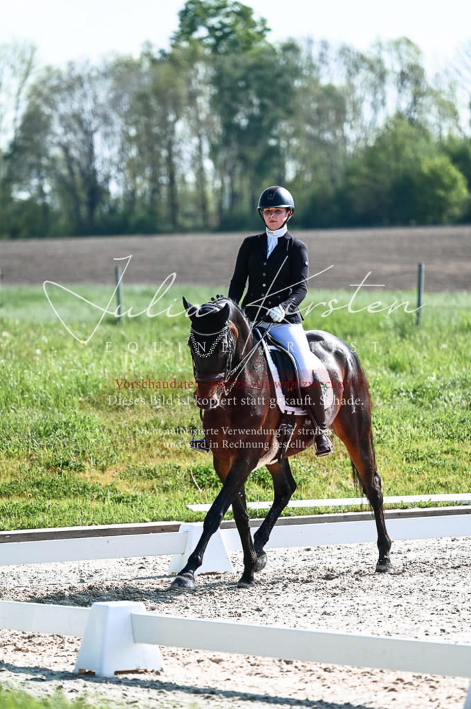 20230514_JK-Röhrsdorf-18-328 | Pferde- und Turnierfotografie in Westsachsen. Pferdeportraits, Auftragszeichnungen und intuitive Kunst.