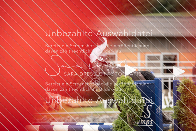 SD_OES26_07186 | saradresslerfotografie - Realisiert mit Pictrs.com