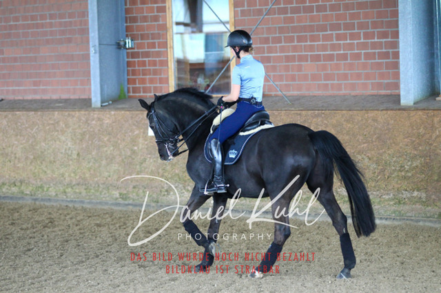 DKP42720 | Turniersportfotografie; Pferdefotografie; Dressurfotografie