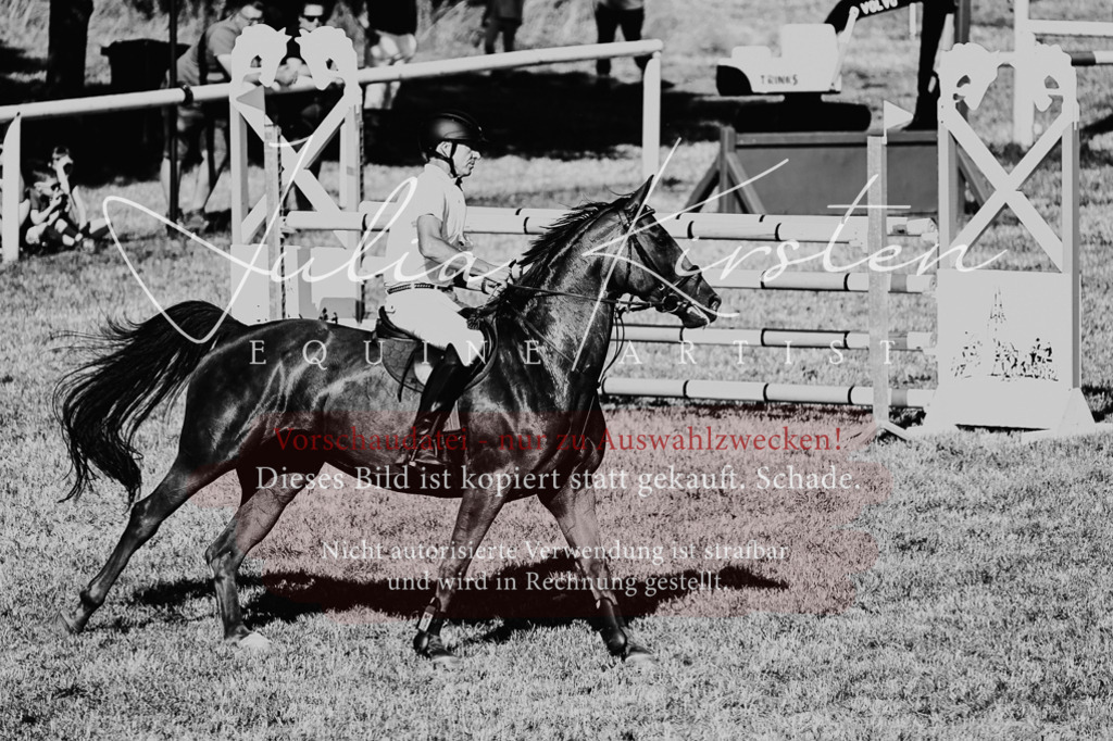 DSC_2265 | Pferde- und Turnierfotografie in Westsachsen. Pferdeportraits, Auftragszeichnungen und intuitive Kunst.