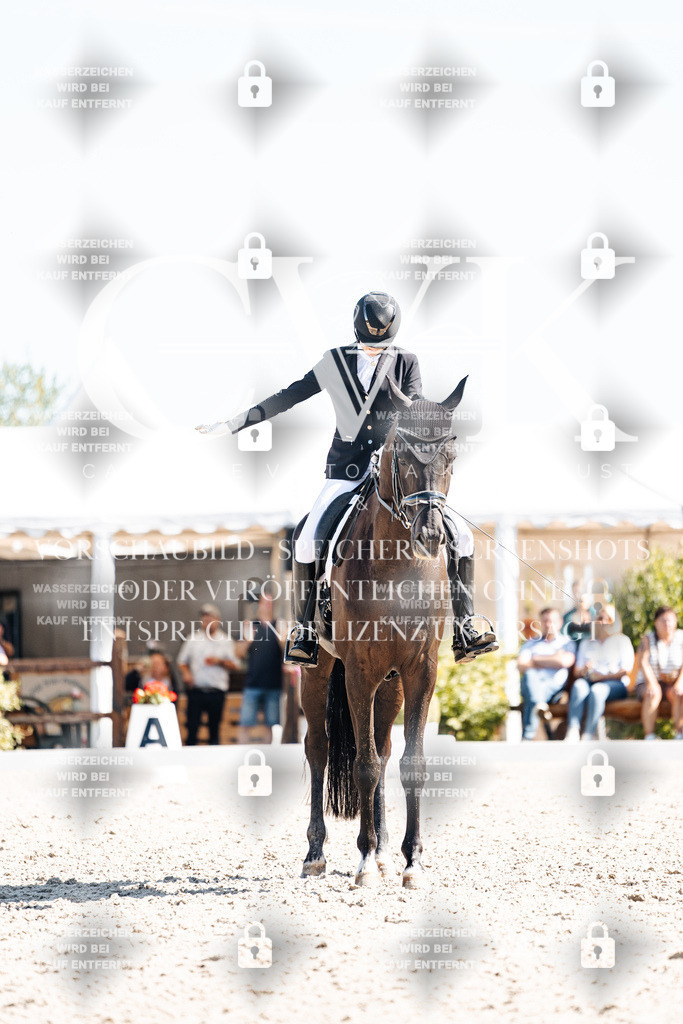 CK909435 | Turnierfotografie Pferdefotografie Trier Rheinland-Pfalz Pferdesport Reitsport Tierfotografie Sportfotografie Pferdevideo Pferdevideografie Equestrianvideography equestrianphotography  - Realisiert mit Pictrs.com