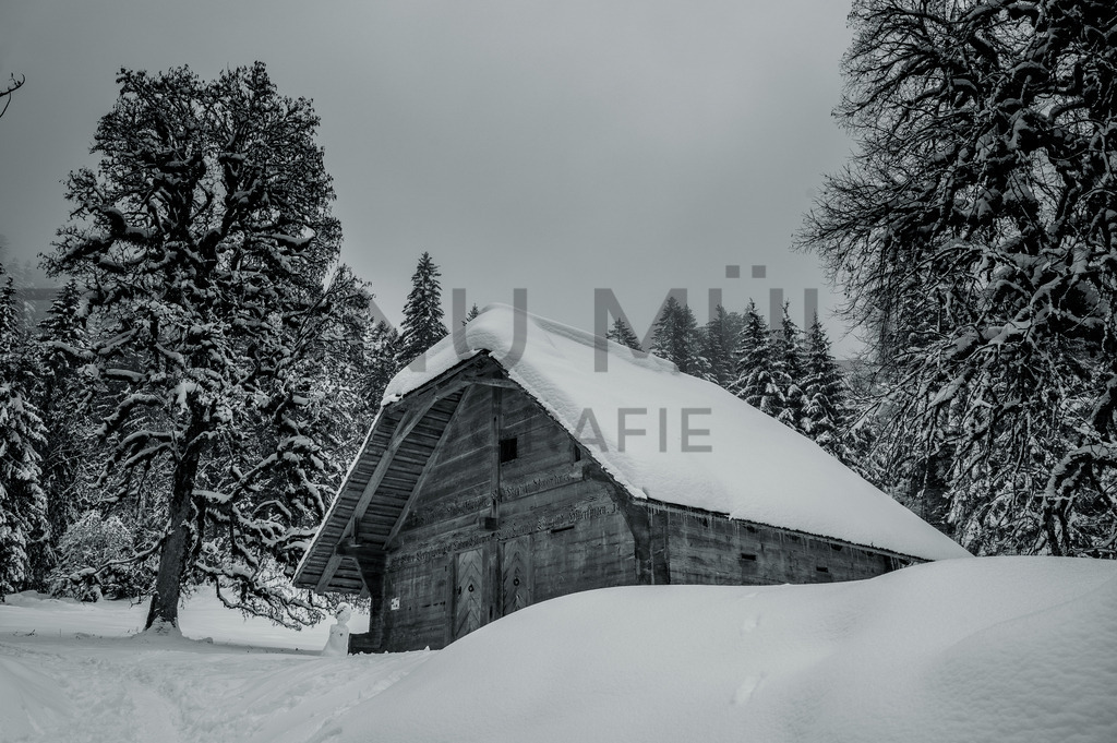 DSC_9006 | Tinu Müller Fotografie- Bildershop - Realisiert mit Pictrs.com