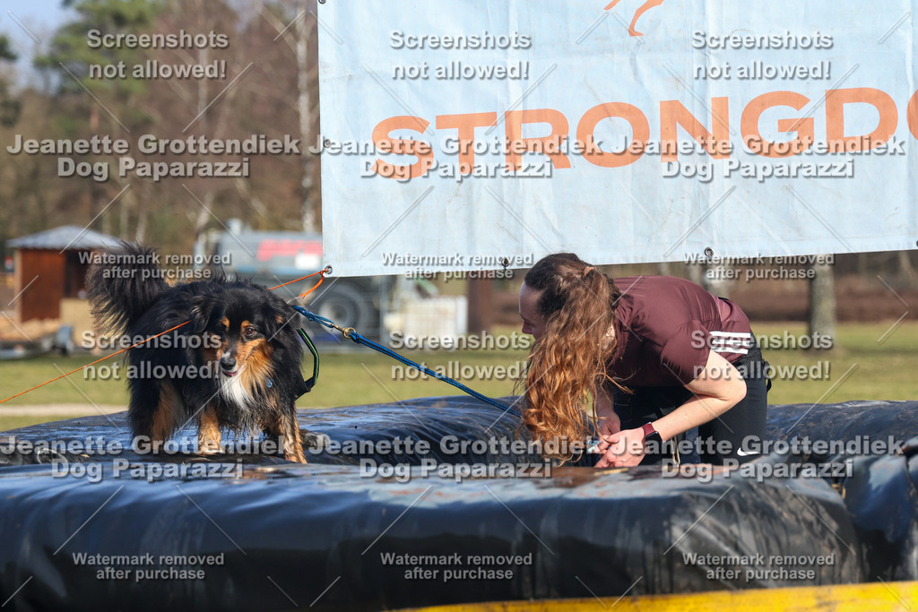 Dog Paparazzi - Strongdog North Mrz26-3296 | Dog Paparazzi Jeanette Grottendiek Fotografie & Videografie - Realisiert mit Pictrs.com