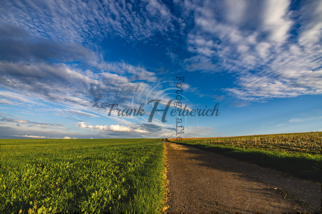 2023_08_15_9999 | Frank Herberich Fotografie, Frank Herberich, Fotografie, Hochzeit, Portrait, St. Peter Ording, Ording, Westerhever, Nordsee, Frank Fotografie, Hardheim,  Odenwald,Walldürn, Band,Eventfotografie - Realisiert mit Pictrs.com