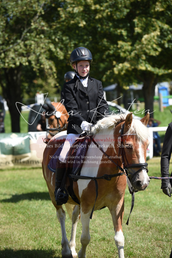 DSC_9659 | Pferde- und Turnierfotografie in Westsachsen. Pferdeportraits, Auftragszeichnungen und intuitive Kunst.