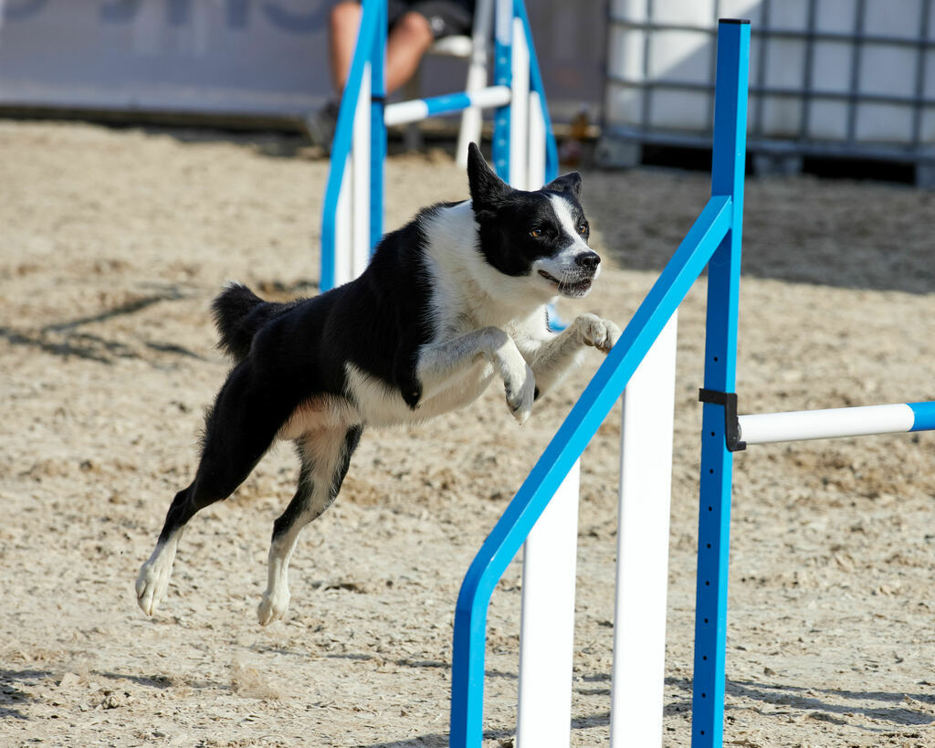 580B0080 | Peter Fridle Fotografie - Realisiert mit Pictrs.com