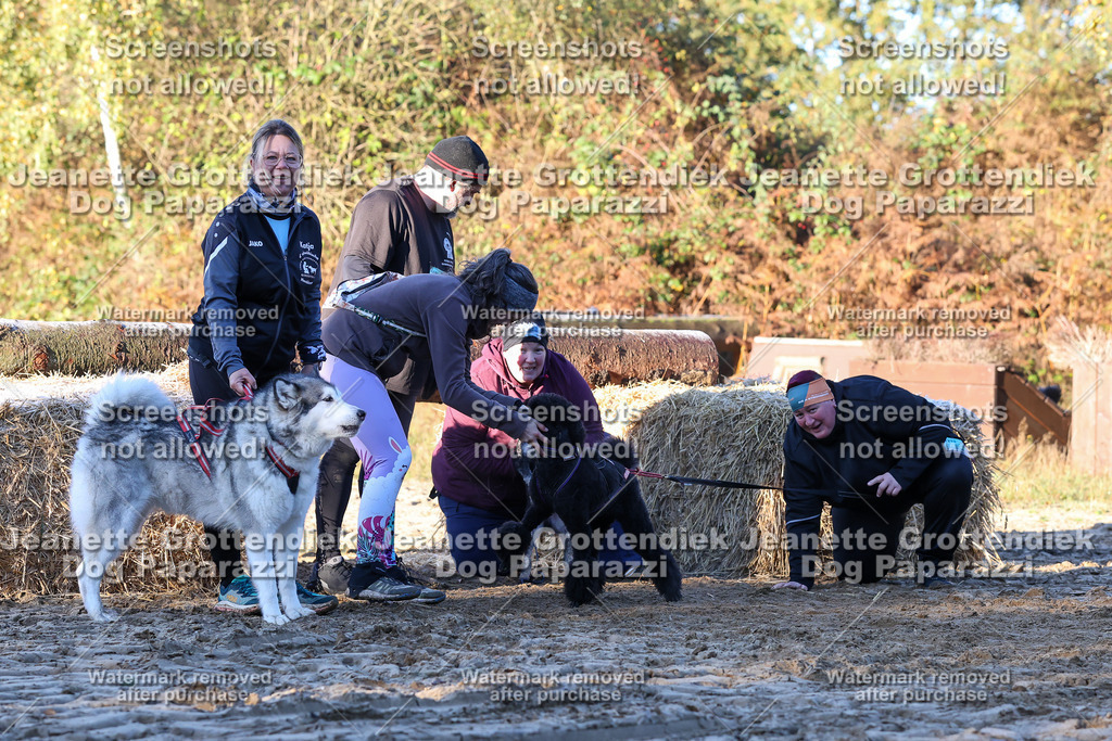 Dog Paparazzi - Strongdog 10-25-755 | Dog Paparazzi Jeanette Grottendiek Fotografie & Videografie - Realisiert mit Pictrs.com