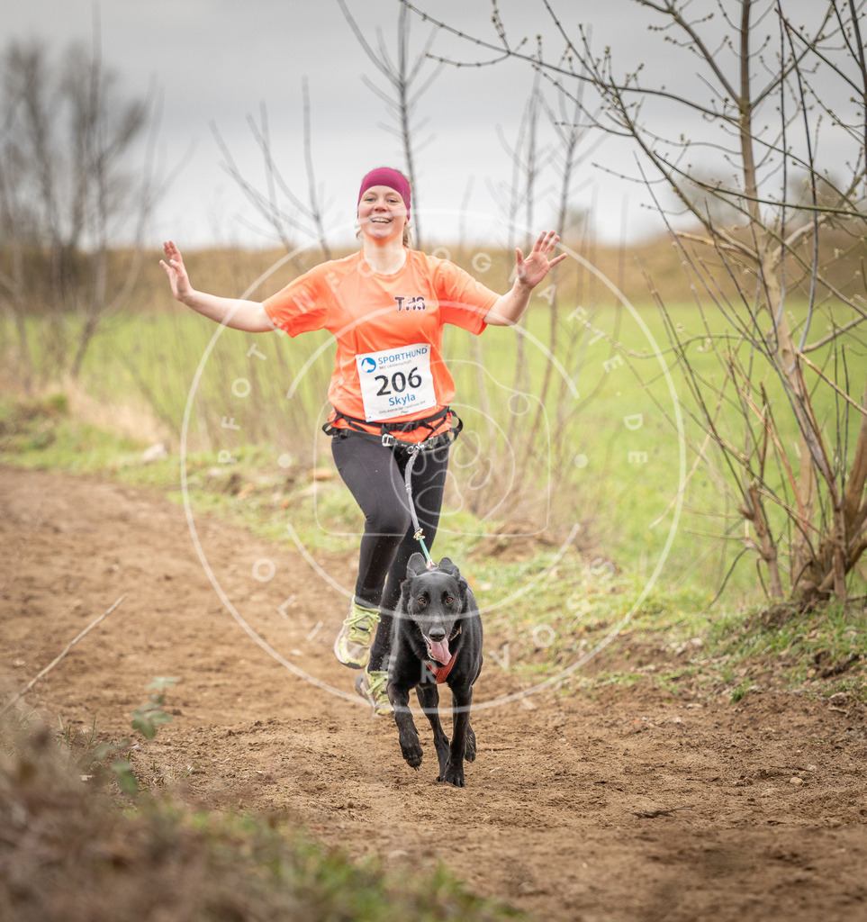 DV3A2557 | Hundefotografie, Tierfotograf, Pfotenfotografie, Fotoshooting Hund, Hunde Portrait, Hundesport, Hundeportraits, Heideshooting, Hunde, Sportfotograf, Hundefotograf, Turnierhundsport, THS,  - Realisiert mit Pictrs.com