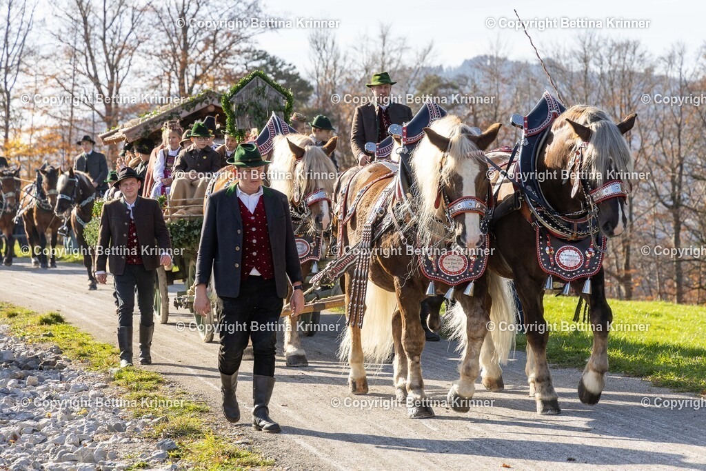 LBT24-1264 | foto-bettina-krinner - Realisiert mit Pictrs.com